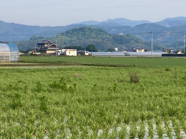 官道と城山とネットワーク社会