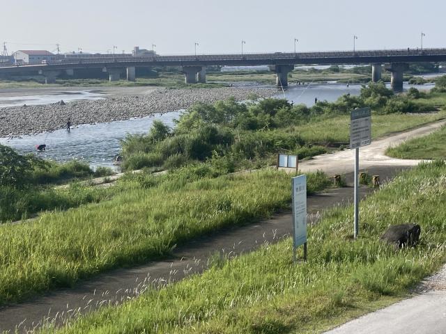 鮎釣りとコロコロコミックの平和