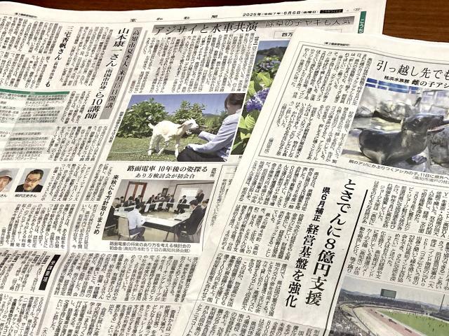 路面電車は「支援」ではなく