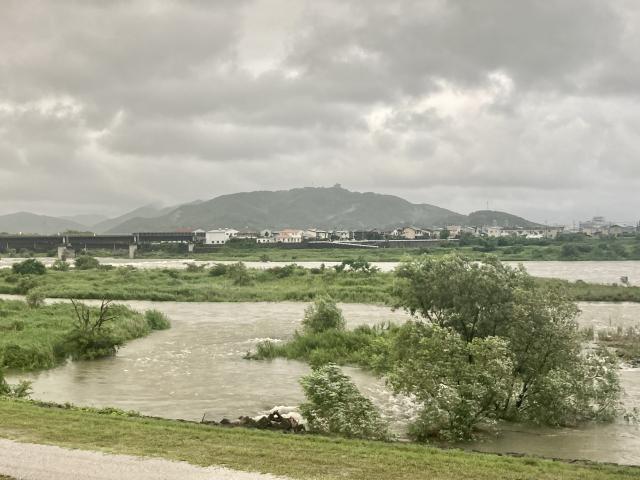 物部川の濁水とシカとクマ